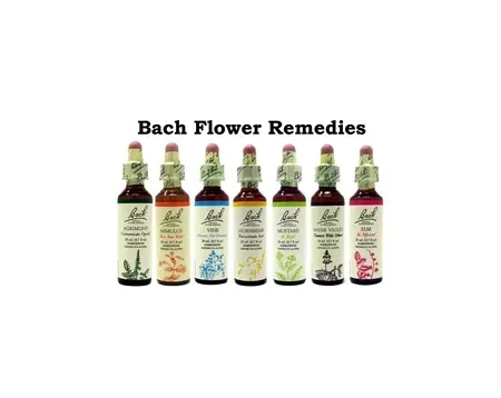 Bach - KIT-0205 - One Of Each Of The 38 Bach Flower Remedies